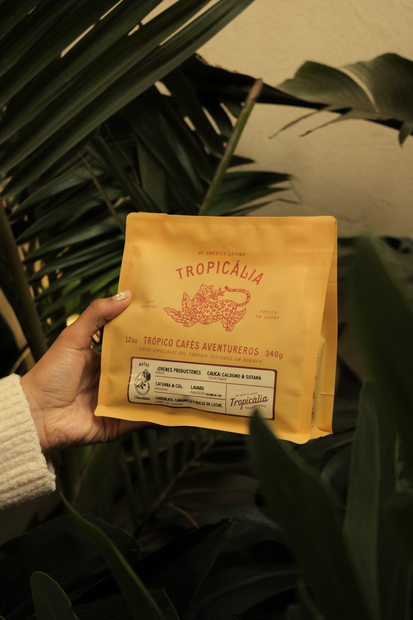 jovenes productores, Cauca 340g