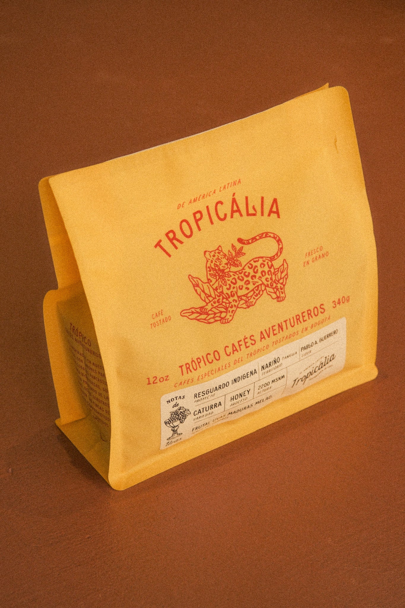 RESGUARDO INDIGENA INGA , NARIÑO APONTE 340g