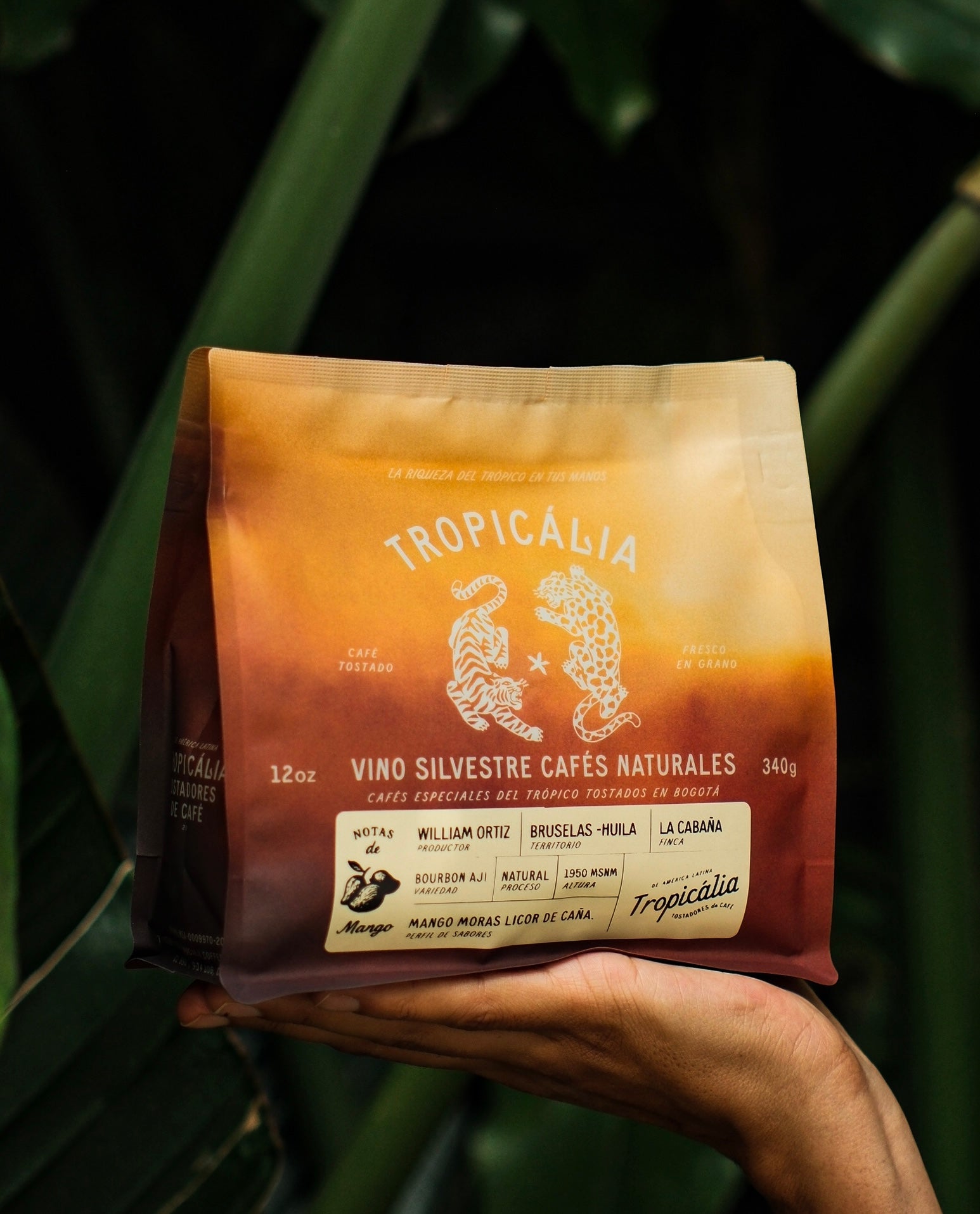 NUEVA COLECCION VINO SILVESTRE , WILLIAM ORTIZ  , 340G