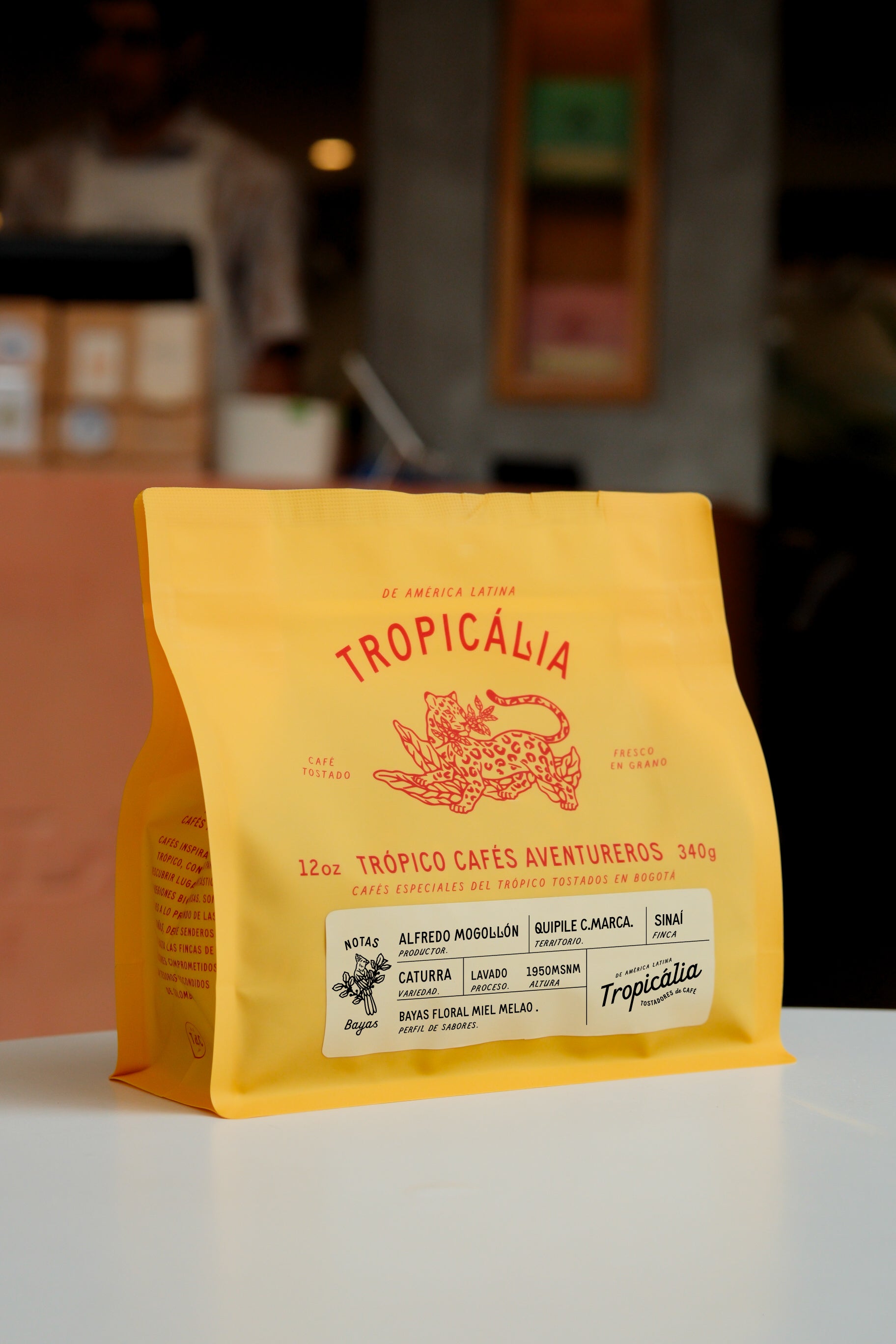 ALFREDO MOGOLLÓN, CUNDINAMARCA 340g