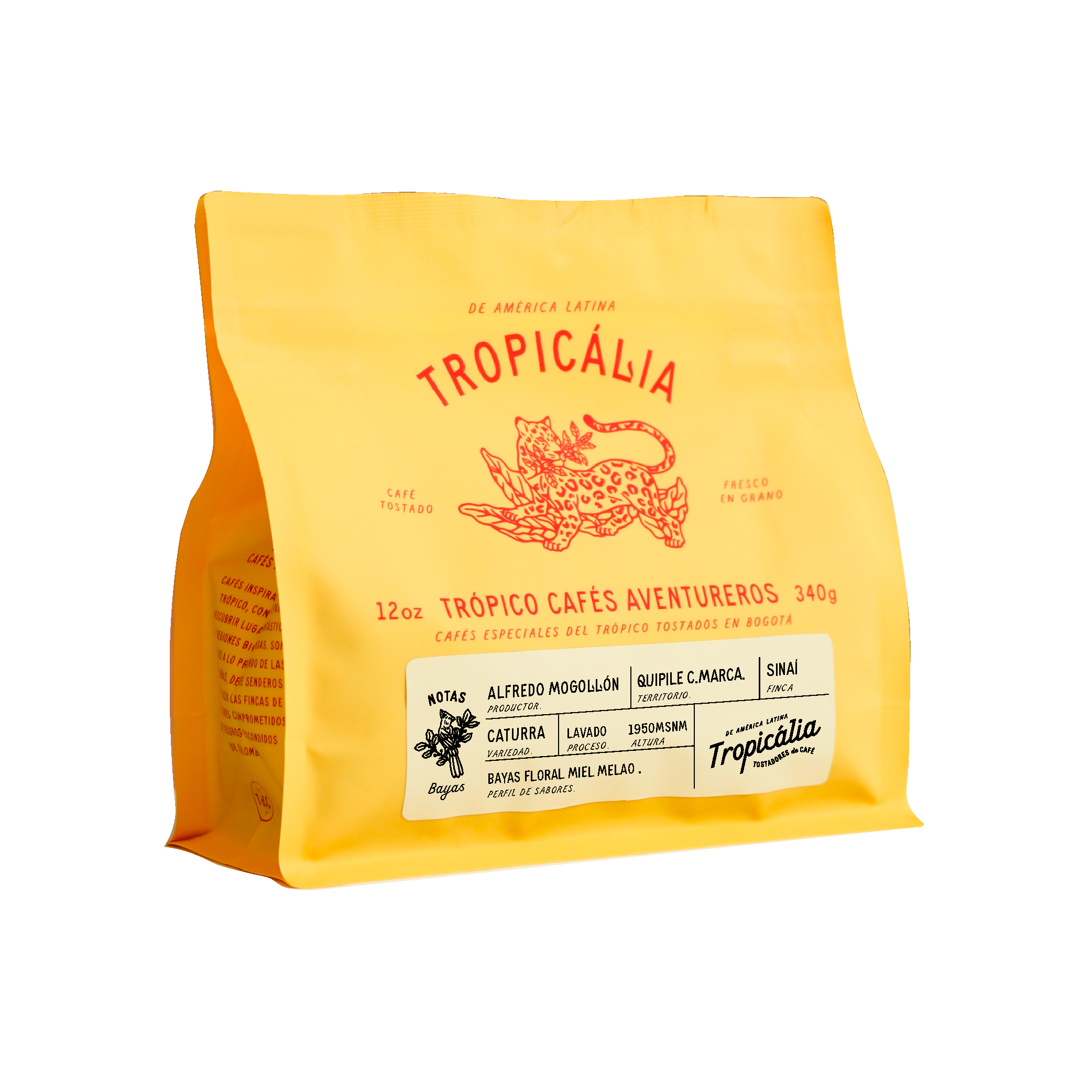 ALFREDO MOGOLLÓN, CUNDINAMARCA 340g