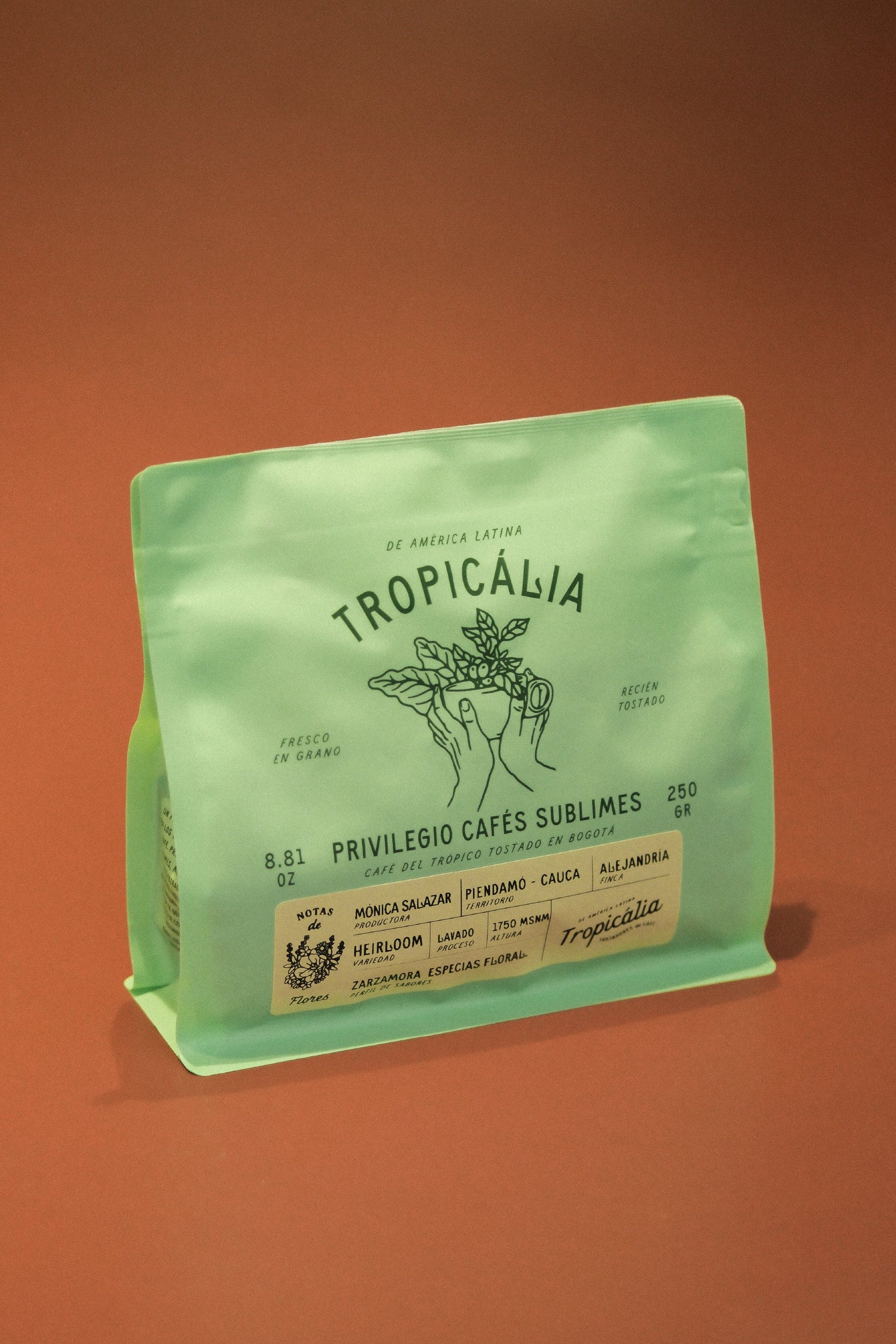 CAFÉ DE TEMPORADA HEIRLOOM , MÓNICA ÁLVAREZ  , 250g