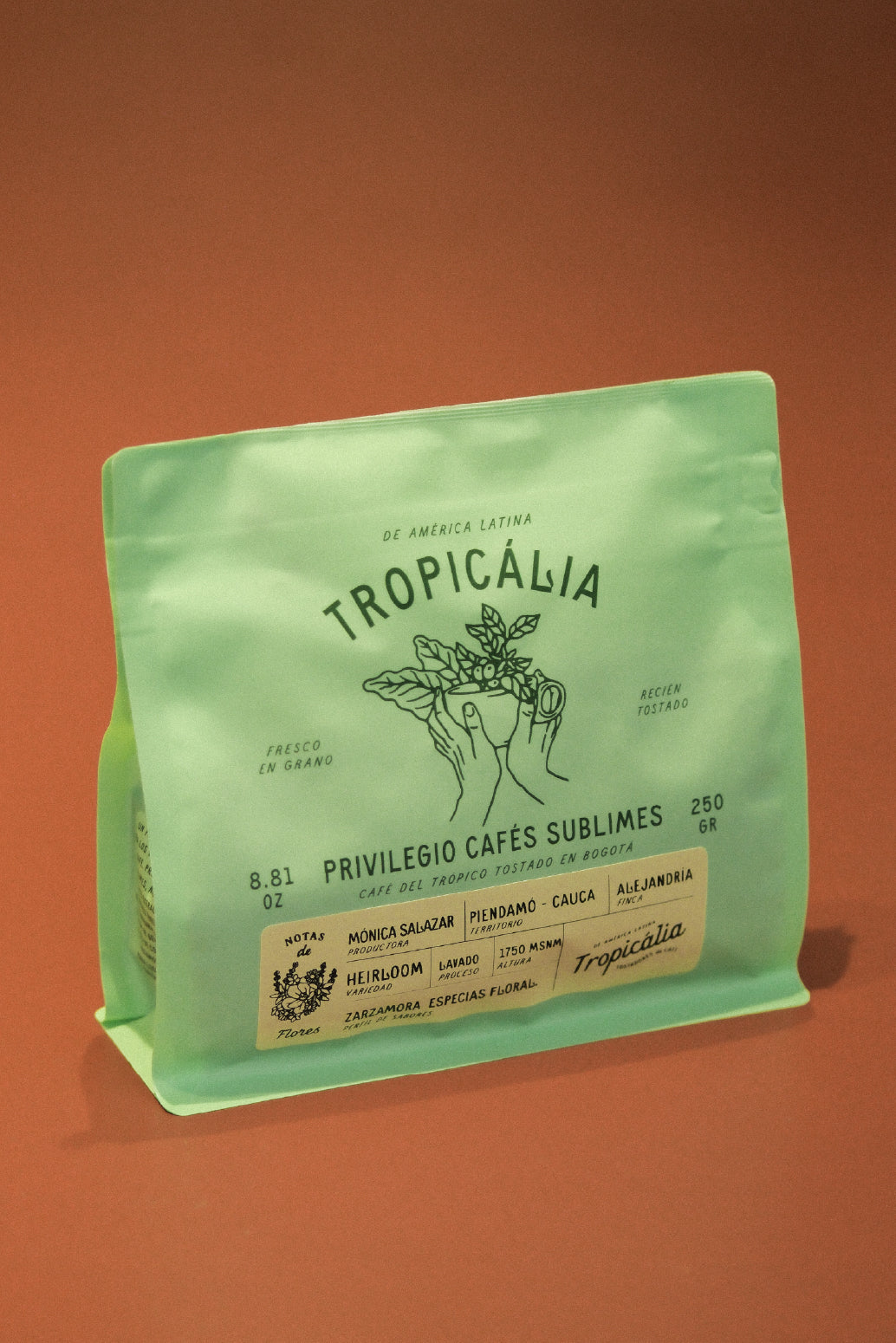 CAFÉ DE TEMPORADA HEIRLOOM , MÓNICA ÁLVAREZ  , 250g