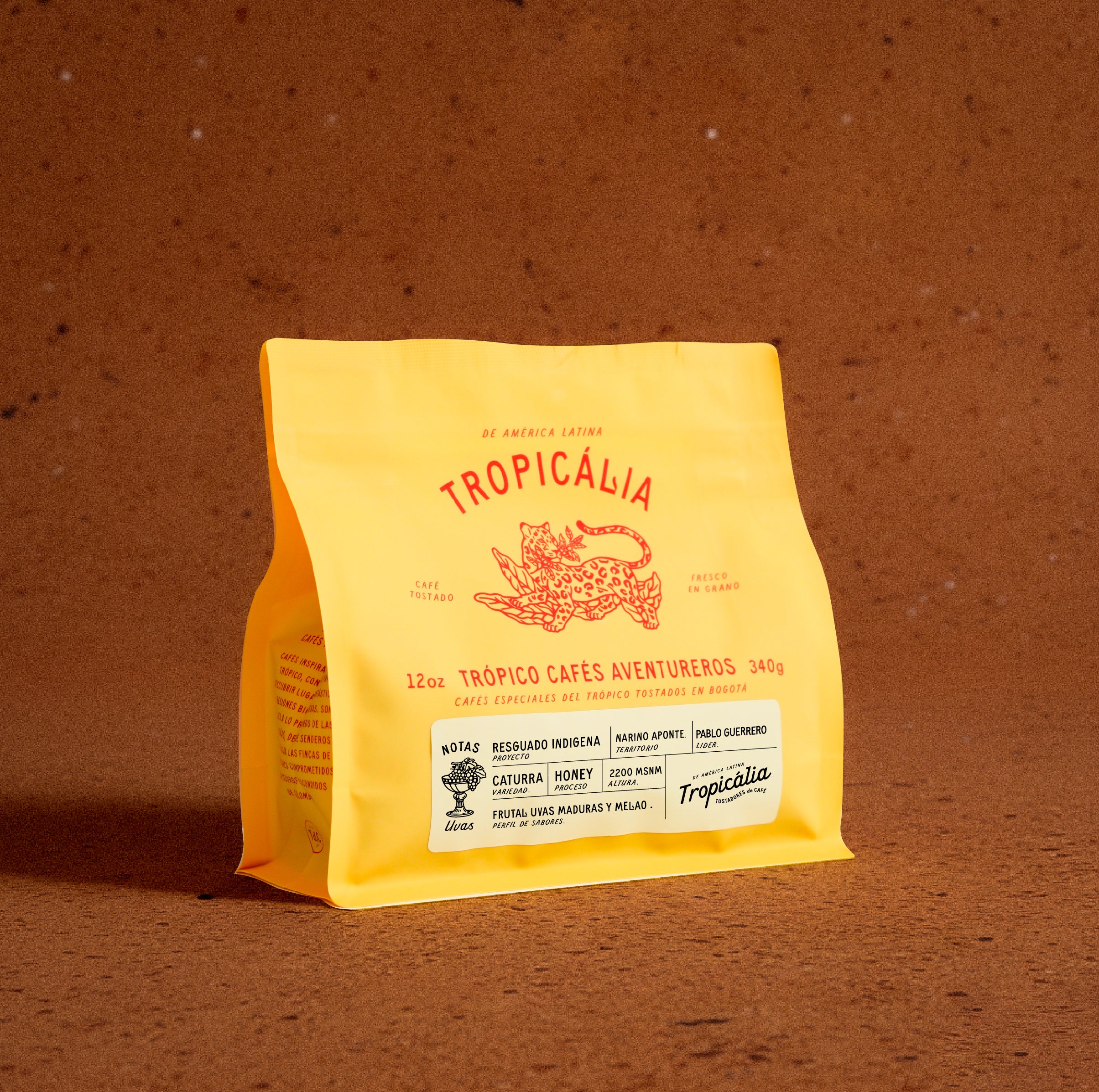 RESGUARDO INDIGENA INGA , NARIÑO APONTE 340g