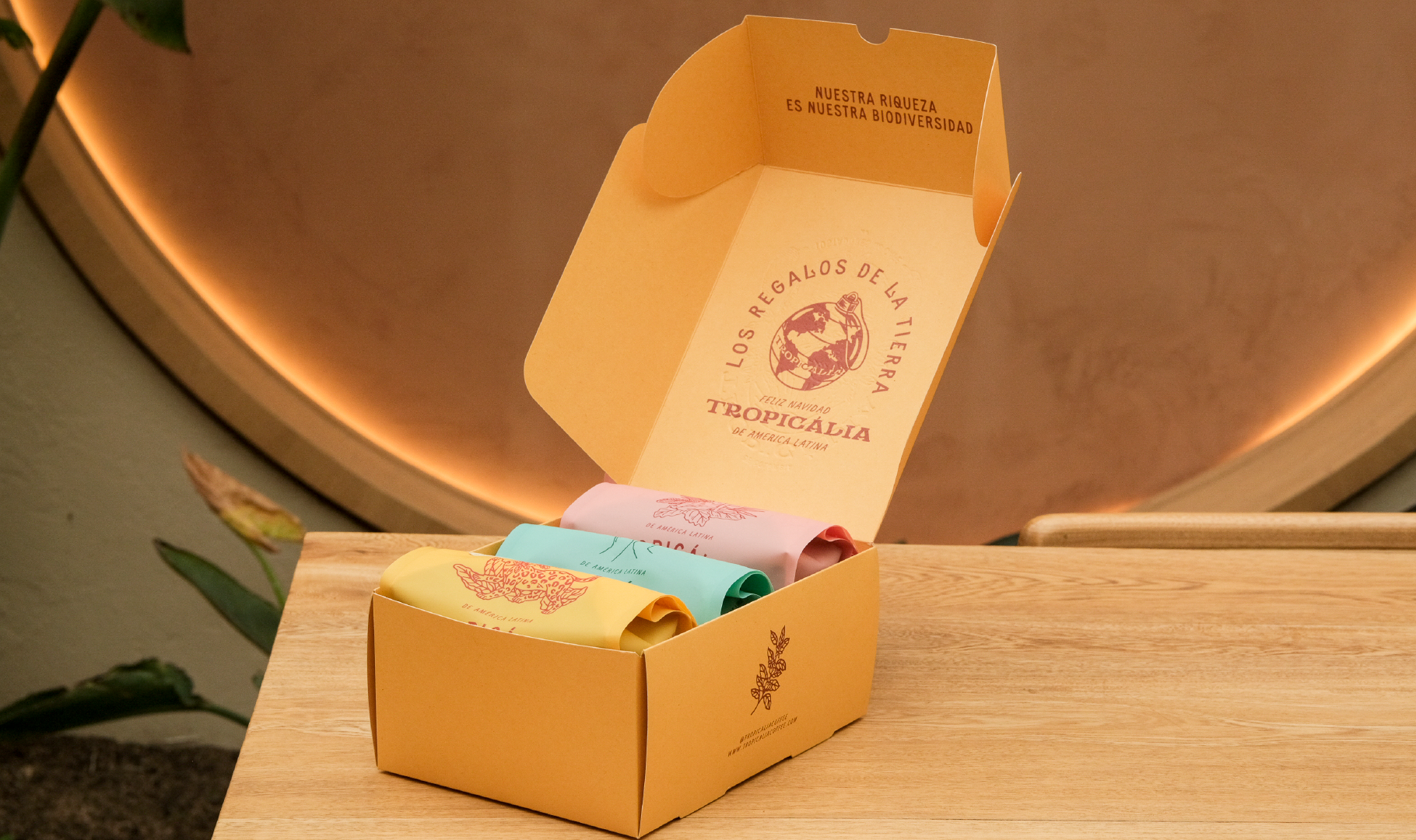 Caja, los regalos de la tierra 3 cafes